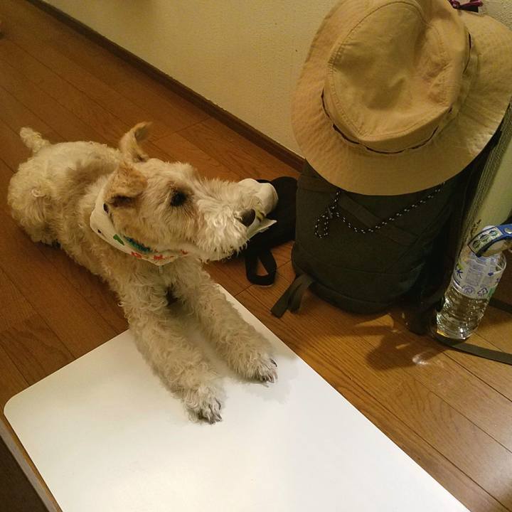 14cbc017 8c25 43df 9cd2 21b9892b5c67 1533039398332