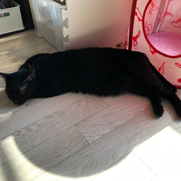 14cbca53 91d1 45ce a14d 25d6cc773f73 1558739331697