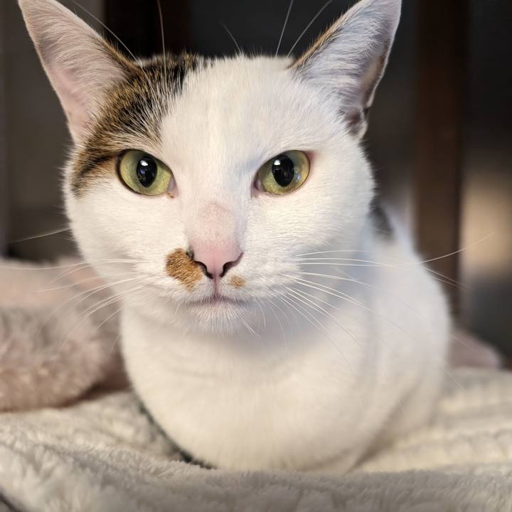 14cbdc9b 2c24 4555 aaba 5153c5a66740 1700311247190