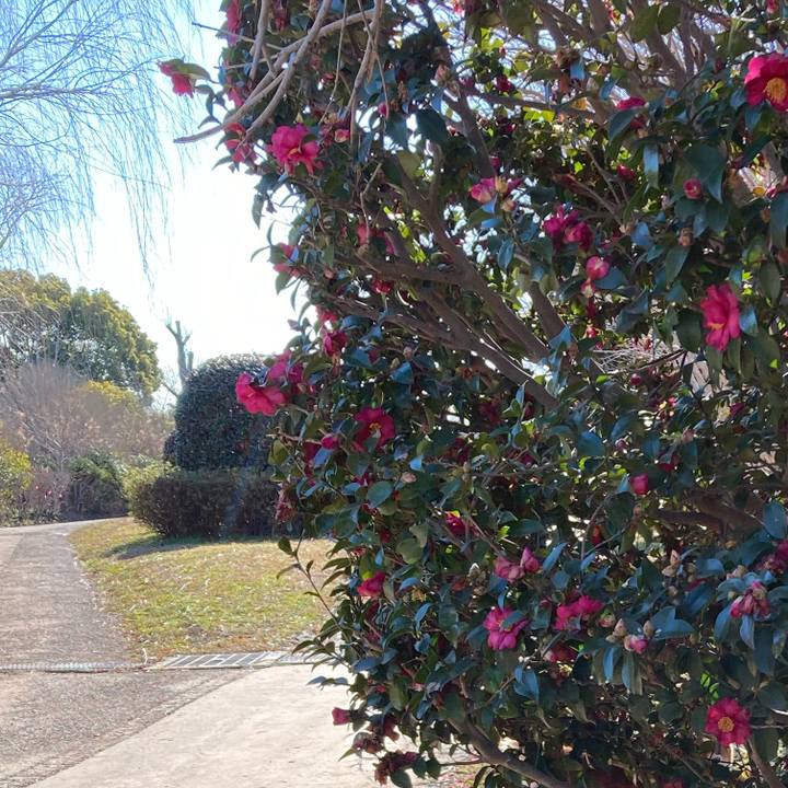 14cbf1d5 0832 45ab ac4f 0d83b52979da 1642043521868