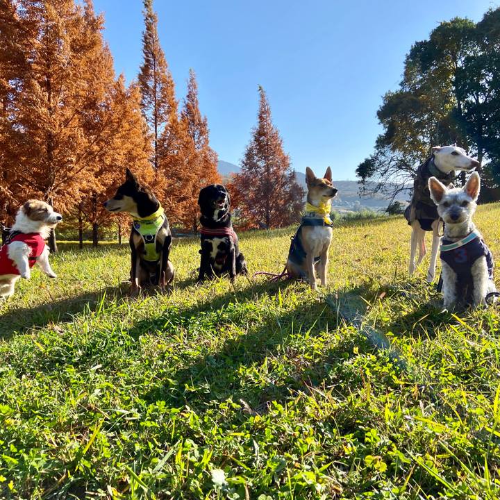 14cc0daa 8322 4c82 80d8 5af33fa508c5 1637677090326