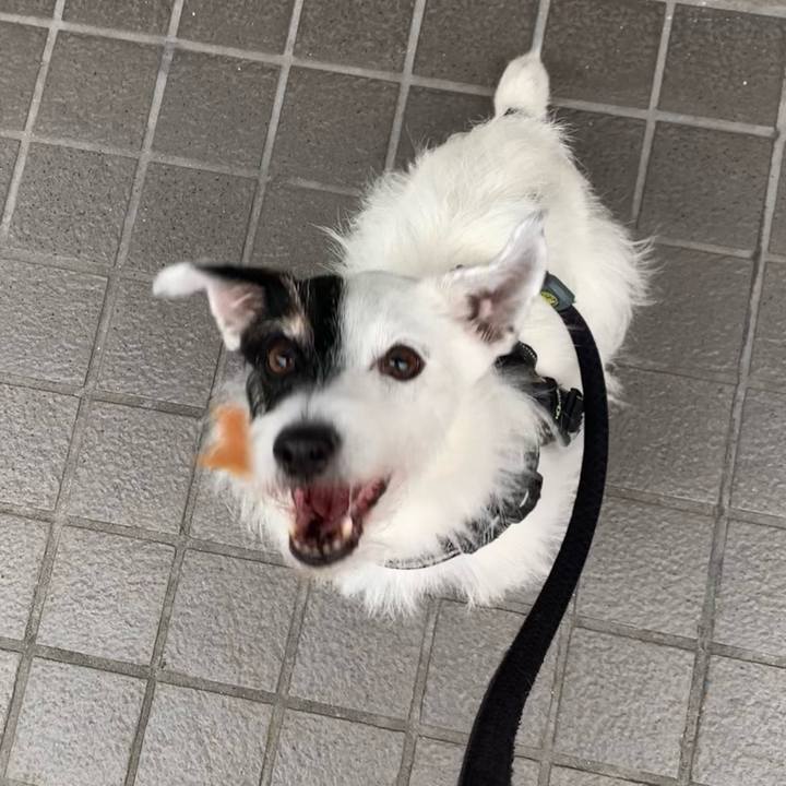 14cc369a aaf6 4702 844c 00e152ad2a11 1729208253043