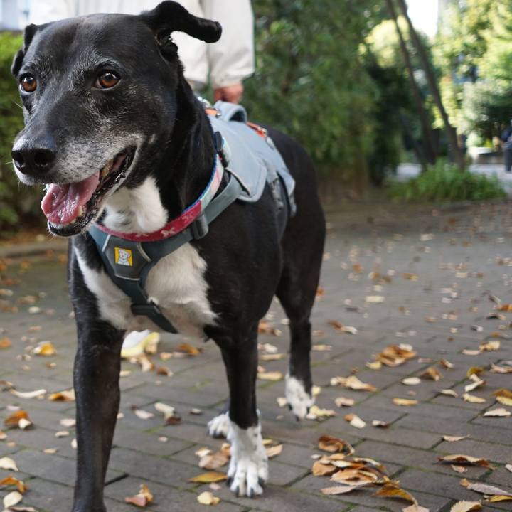 14cc5e31 ec1b 45bb b7cd 6d5abb6c8ffd 1761611298453