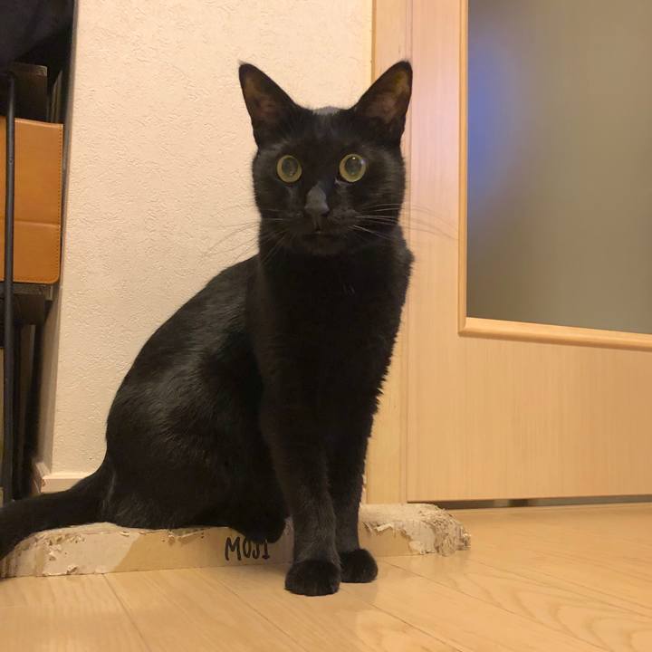 14cc6a8f d2dd 4f69 b741 886d4a83b546 1552746961419