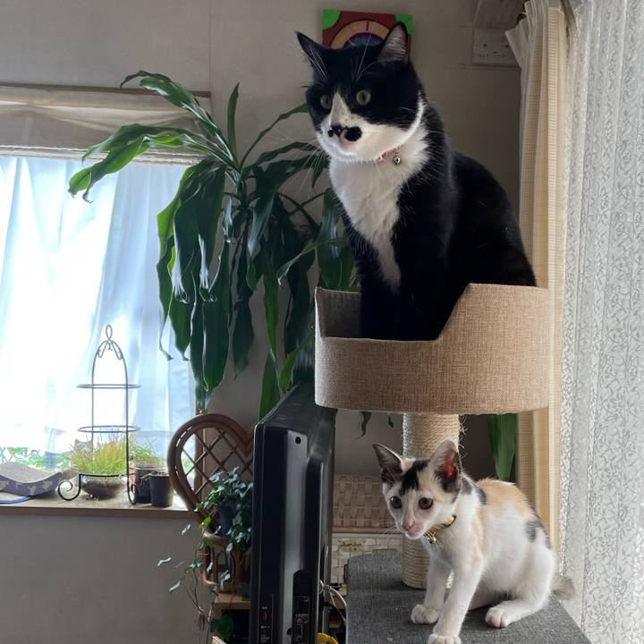 14cc72f2 b4de 4237 a0f5 ef6e78ee847d 1658370727719