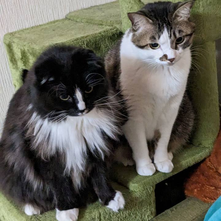 14cc9672 78e9 4f1b 9bc4 59562a460cbb 1677965936341