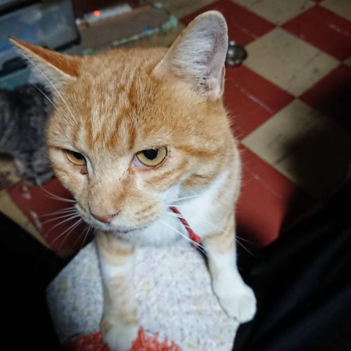 14cc9afb de00 484a ab8f 6ce52345a799 1574019949843