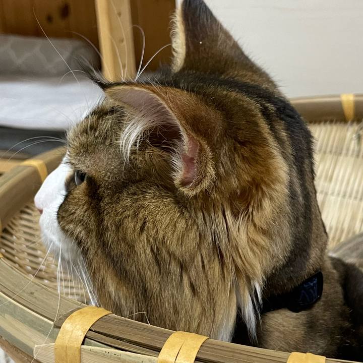 14ccbc84 3bfc 4e3b bc8a 069b47518822 1659092252486