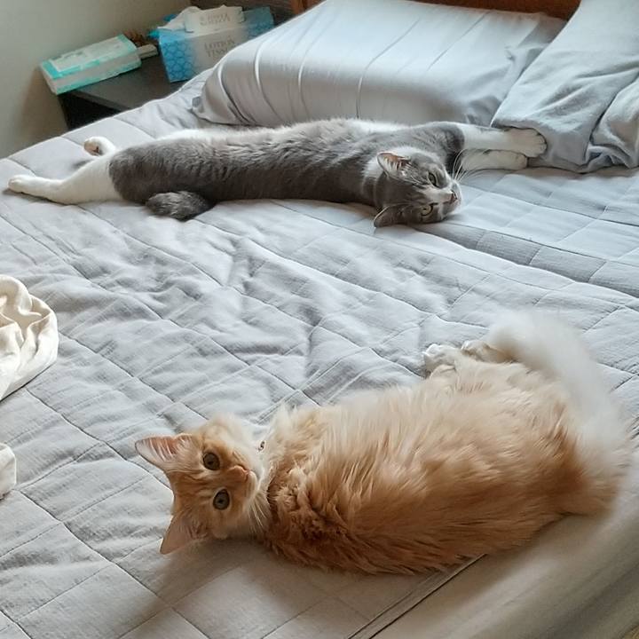 14ccfb27 8301 4429 a94c b0047621aa4b 1622355398901