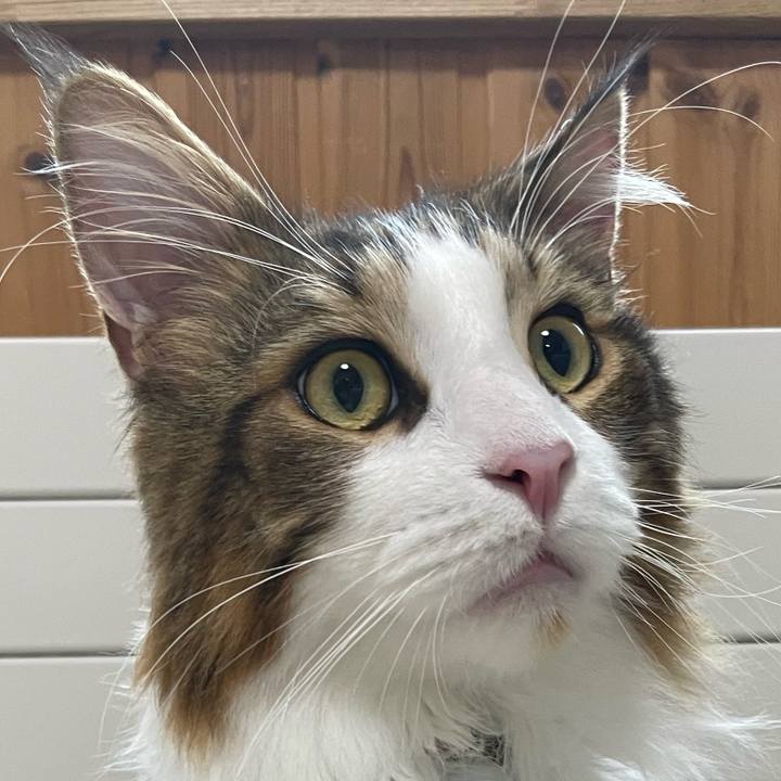 14cd252d 79a3 49dc b75c 9dd6672bf27c 1660943602241