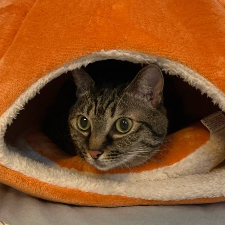 14cd38dc 6e77 4429 8c89 814e7b1c7466 1631604452411