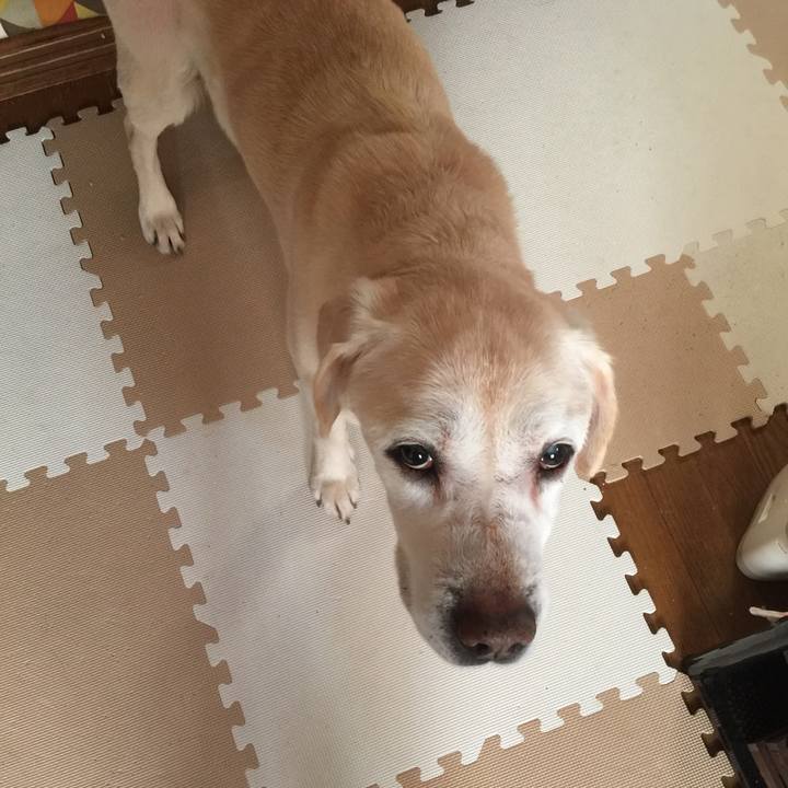 14cd5acc 30c0 4c20 836a 1da6ef61f091 1524523008067