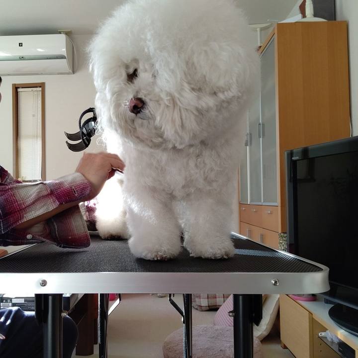 14cd6504 e307 44fc b0ba 623065a135f3 1613285917542