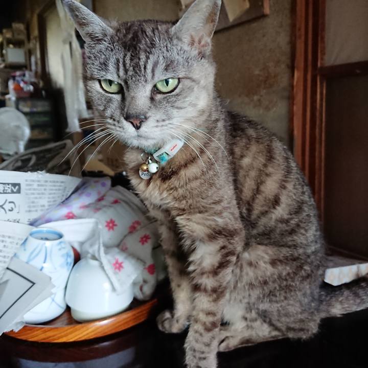 14cd6ee3 9ff5 4ea5 9c02 0bd7c3d94565 1566025576173