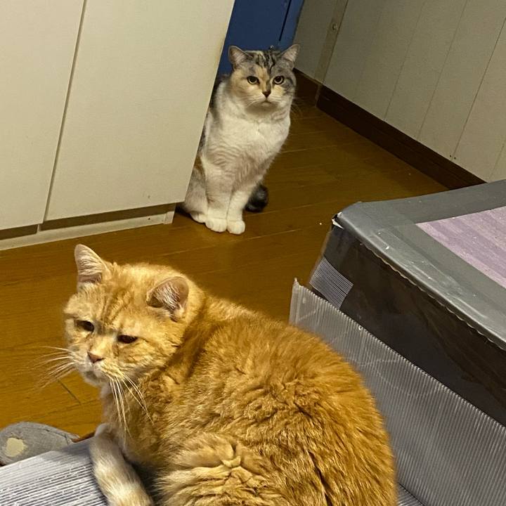 14cdc8d6 0e57 470c 8282 3d4c379e9521 1674141377638