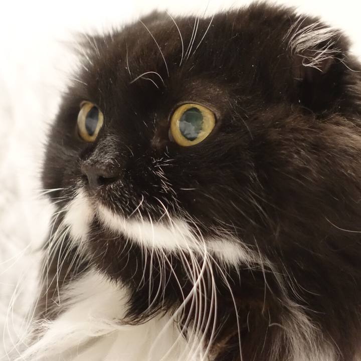 14cdcb1e 89ff 43d3 be13 0da595d27384 1541911308456