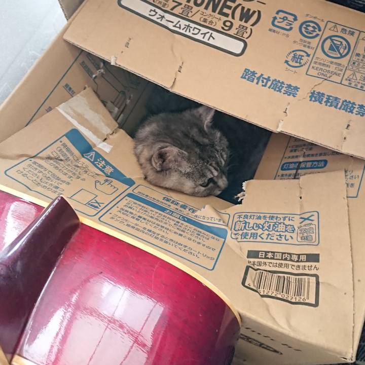 14cdda50 6047 412f b099 66820af4e756 1567908002125