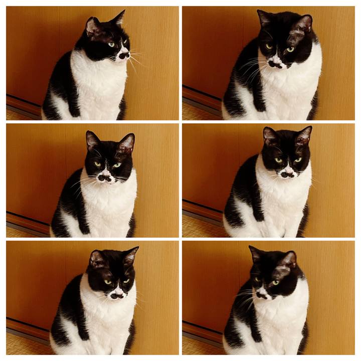 14cdeae7 8781 4ded 8f96 69444605e530 1678404884149