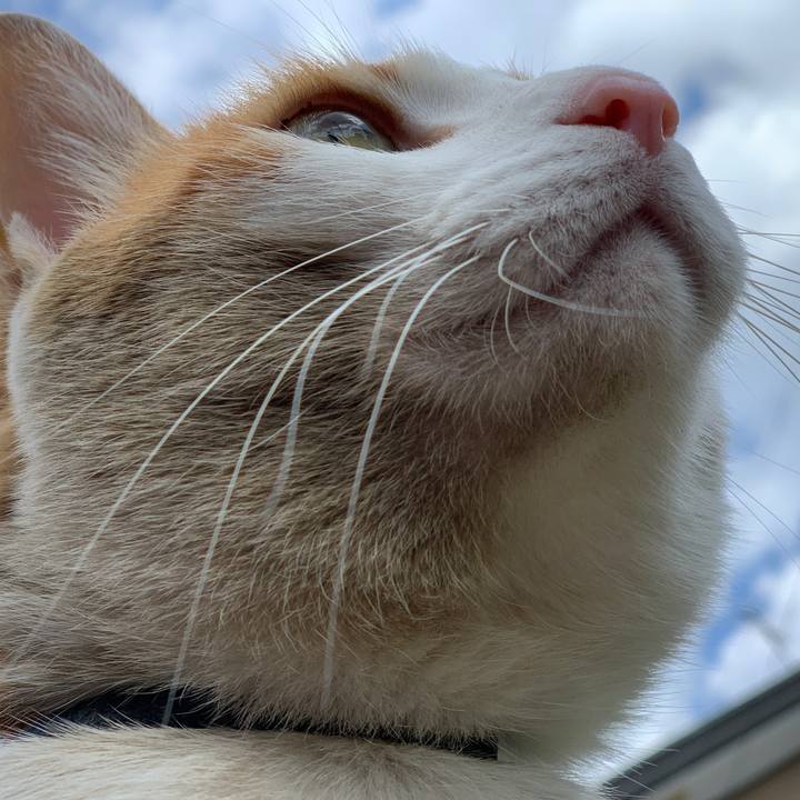 14ce0001 f8ea 422a 895a ea41fec47236 1586590030350