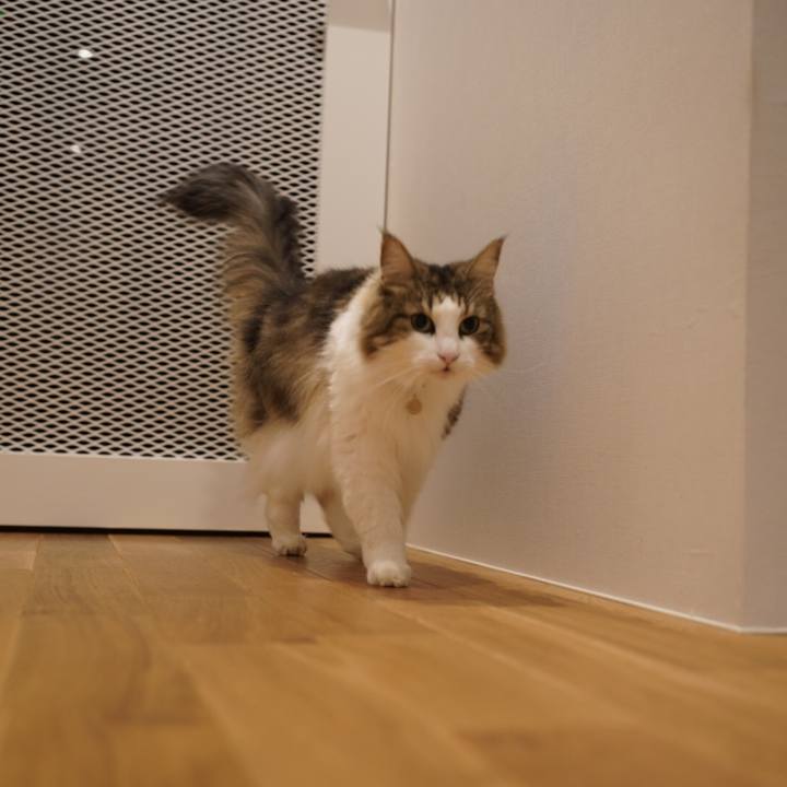 14ce2e0c 9001 49a9 869c e5718ee7c6e5 1600960645658