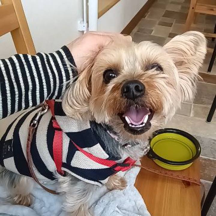 14ce6ee3 1c5b 4305 89a5 5e938db0530d 1740821538191