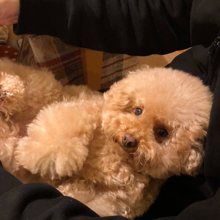 14ce8741 005c 4ab5 a433 9a686569d5da 1509614585411