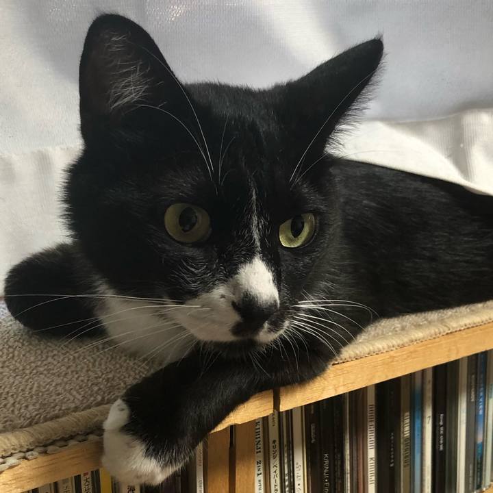 14cec784 bf85 4f9d ba91 51ccacd15bc9 1660880974636