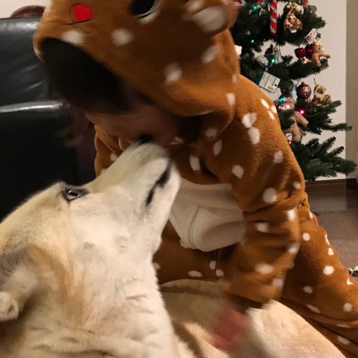 14cecb44 95db 40d2 b9b8 ebf574547742 1545652686315