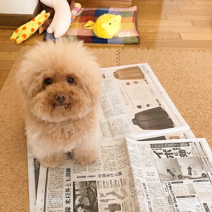 14cef03f c75f 4ee1 a7b4 e278f74e9be2 1538915811139