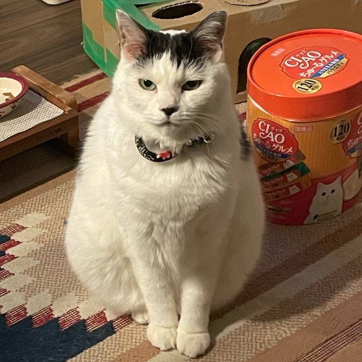 14cef91e 99bc 462e aa9e 440311066949 1736167540017