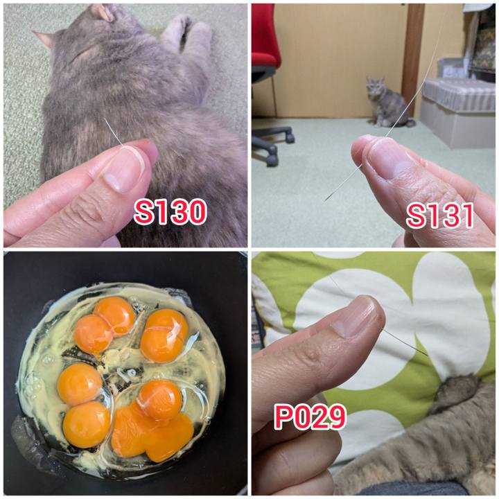 14cf74f5 1c0a 4a37 a176 810e86de8692 1748585798218