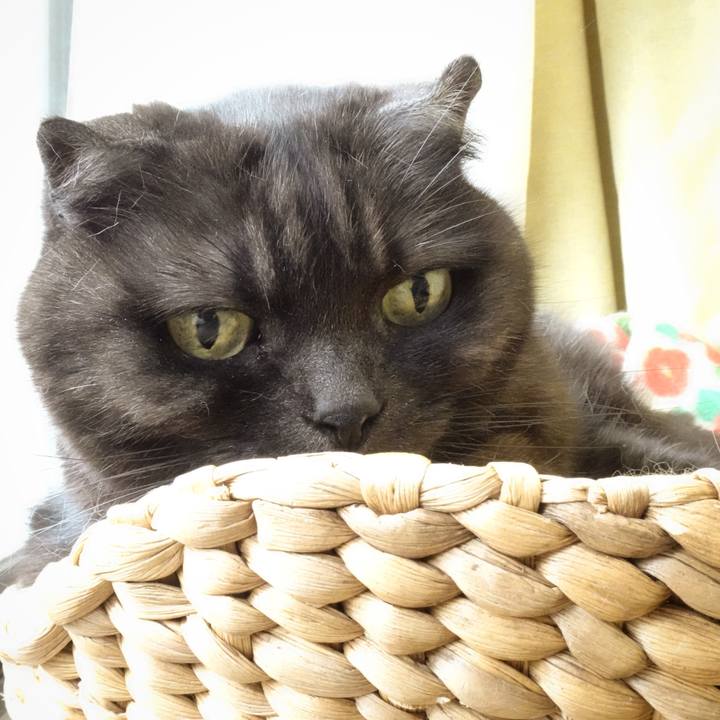 14cfb54c 97cb 4cb0 84f2 a0423f447199 1587712778478