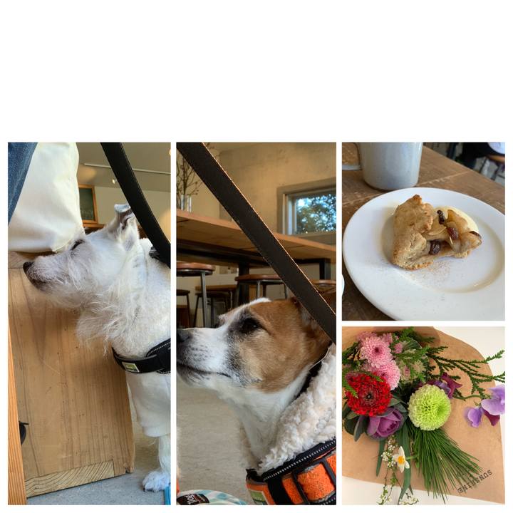 14cfdf8f 6973 4f15 a62f def754c974b4 1577532738951