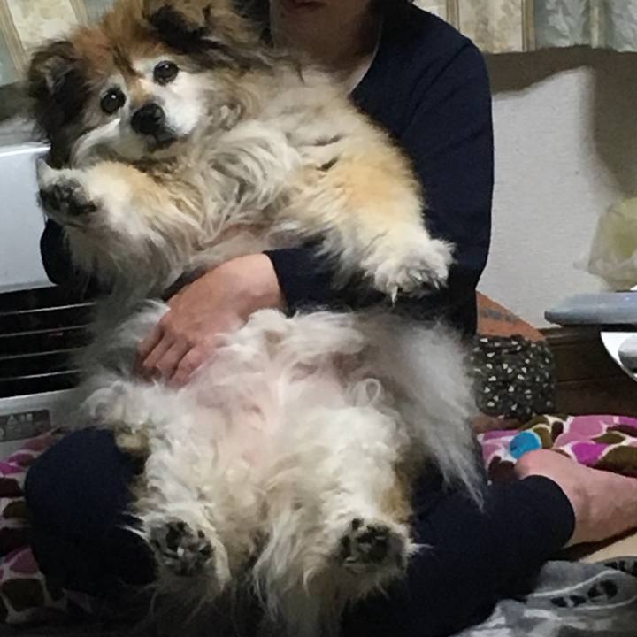 14d0061f ca59 4309 bff9 93586026f909 1563616601404