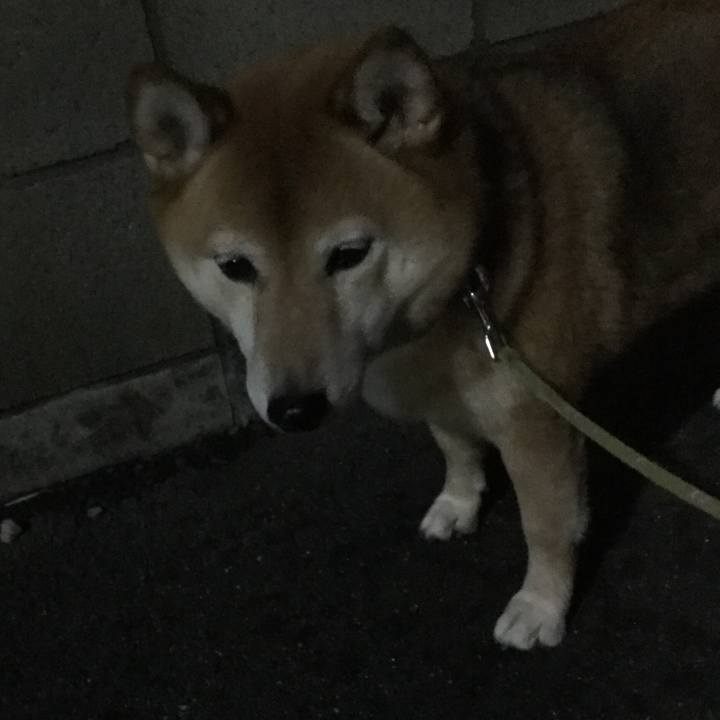 14d05088 ad2f 48f9 ad15 babbf795d88b 1574845375385