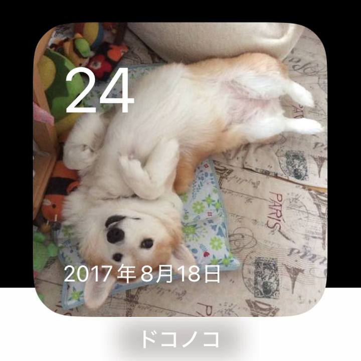 14d08aef ac74 45ce a7b8 0f90dc276b7b 1756038100367