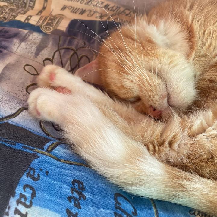 14d0900f 94e9 44f7 a92c abc76420c368 1667084262451