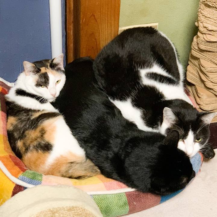 14d0a13c 6968 4a3b 82fd 306d3727ef70 1573782410257