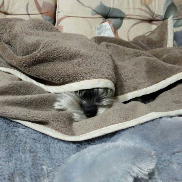 14d0b17b 7194 4737 8b8b 7c8a5ae35742 1510270474590