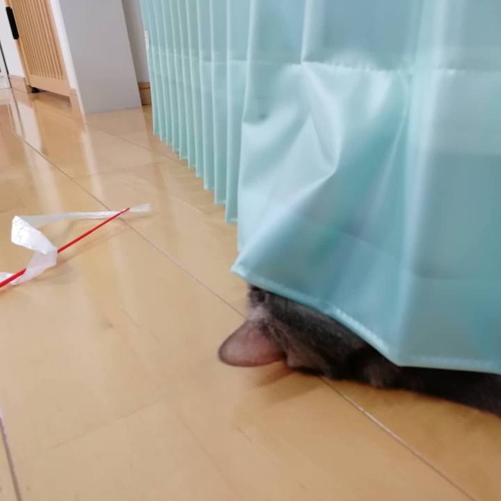 14d0b1a8 116a 4202 9834 46941db0f206 1547626811530