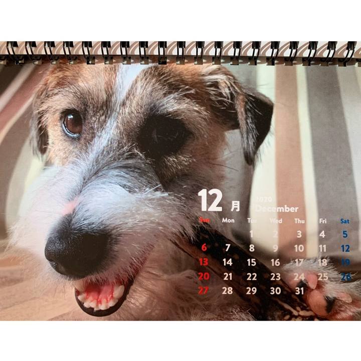 14d0c23c 8a09 4169 977e ec0b5ec49c6f 1609388743463