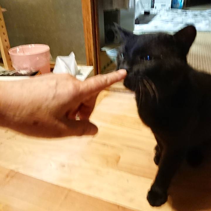 14d0d856 beea 4b66 bc6b d6037ac25754 1627389908189