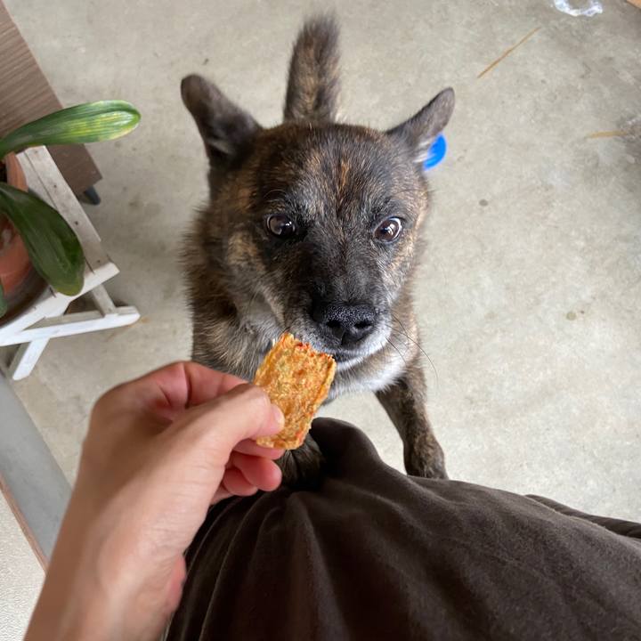 14d10a87 edb2 4650 9044 ba9dd06dca0c 1595483334855