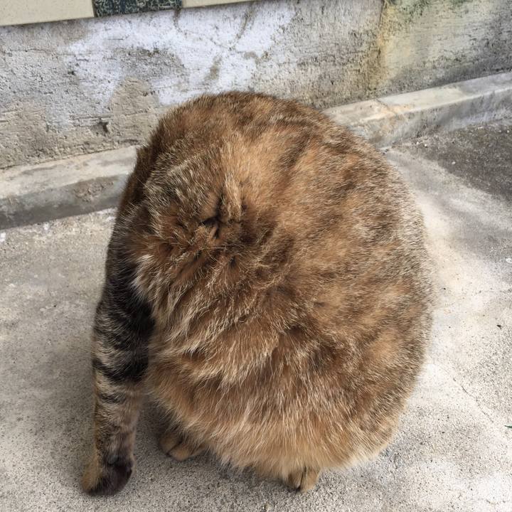 14d10b48 e175 417f 8cb5 16c6f3d06c10 1511133642770