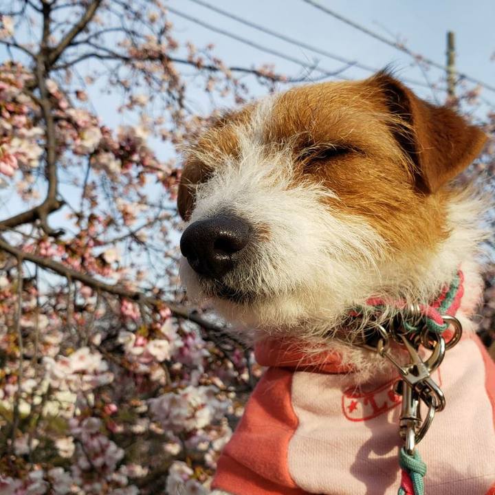 14d119e1 aa39 4800 abcb e5c8c4791f72 1583104005196