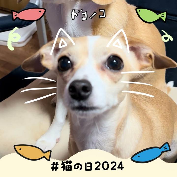 14d12b23 67fa 4ca3 9bd4 787c8daa1f4a 1708589739365