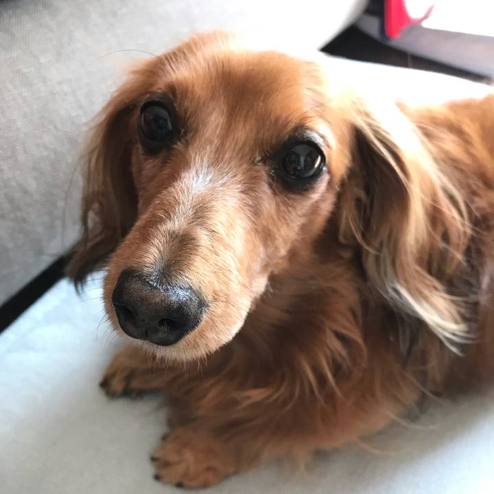 14d130bc b9e5 4252 b1db 2a26bfe8081b 1546831272936