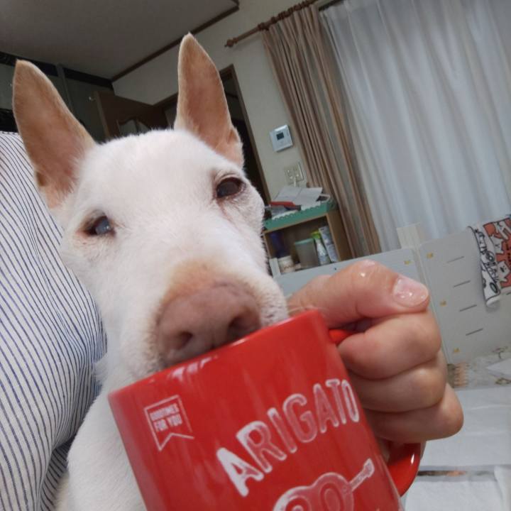 14d13aca a1b6 4302 a78e 2ecdeb182e51 1592779050201