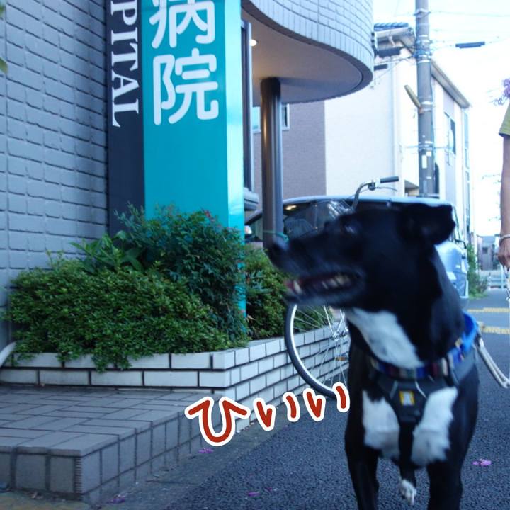 14d144b3 9bdd 411d 9b32 8f032f97c3aa 1658919263846