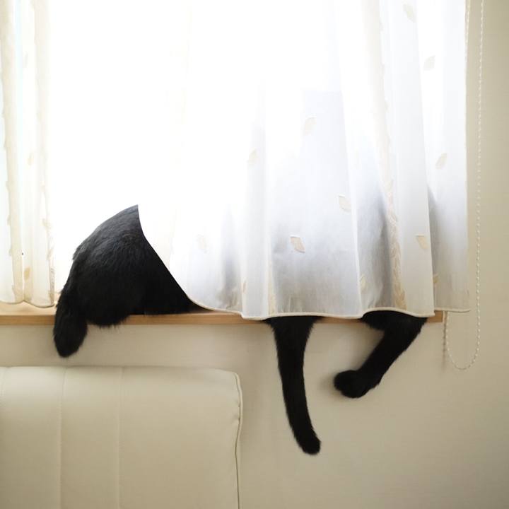 14d196c8 8cb5 4e37 b9e7 c0f95689d5d1 1527723387942